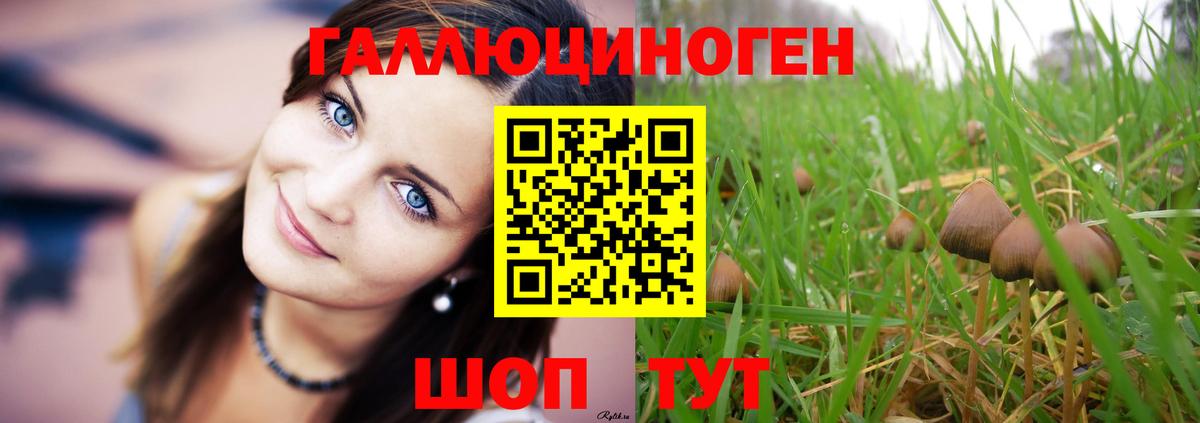Псилоцибиновые грибы Psilocybe Заволжье
